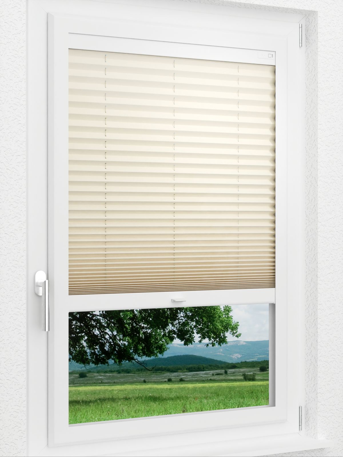 Detailansicht LYSEL HOME Plissee 133A Aralia