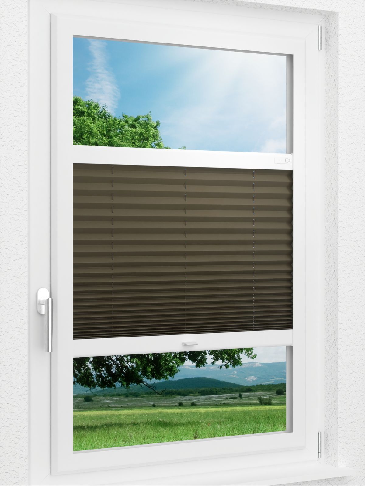 Detailansicht LYSEL HOME Plissee 236A Aralia