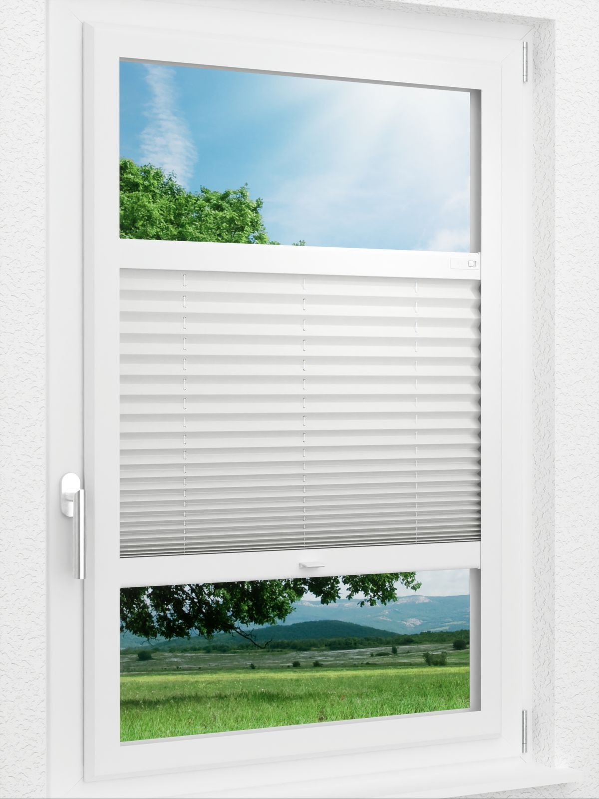 Detailansicht LYSEL HOME Plissee 121A Pinus BO