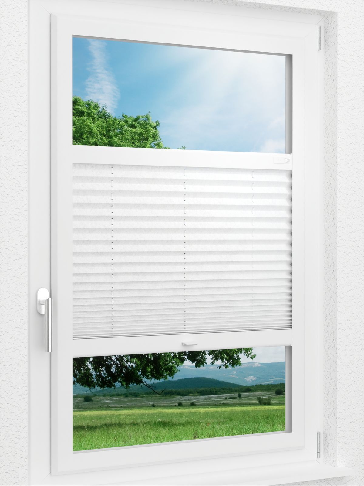 Detailansicht LYSEL HOME Plissee 204A Arum