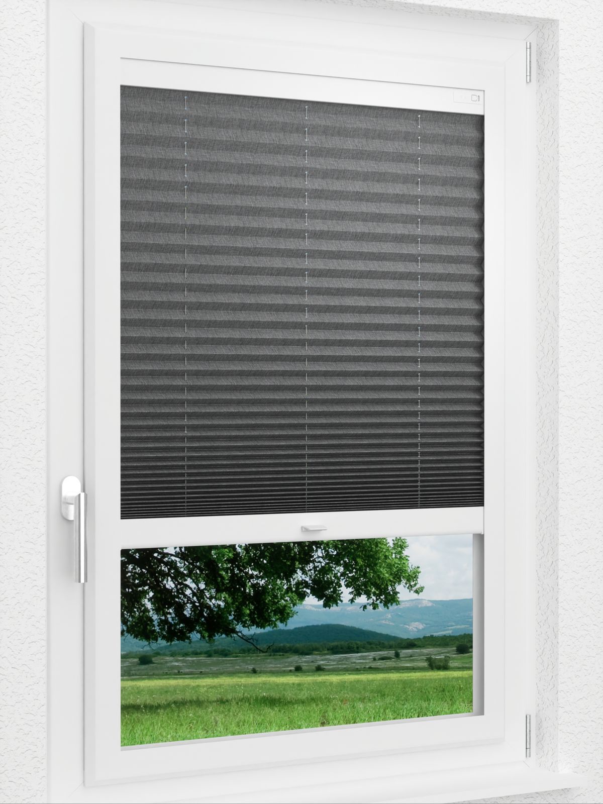 Detailansicht LYSEL HOME Plissee 127A Betula BO