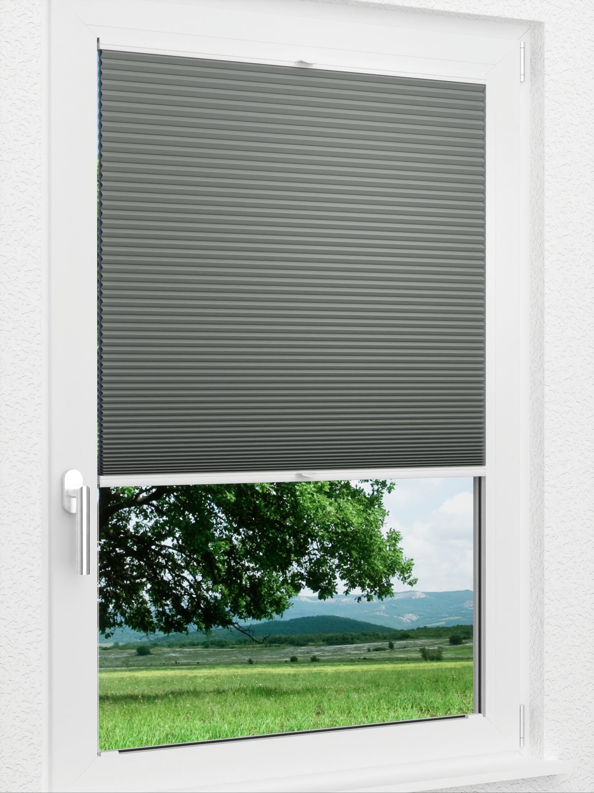 Detailansicht LYSEL HOME Plissee 036A Nana BO Wabe