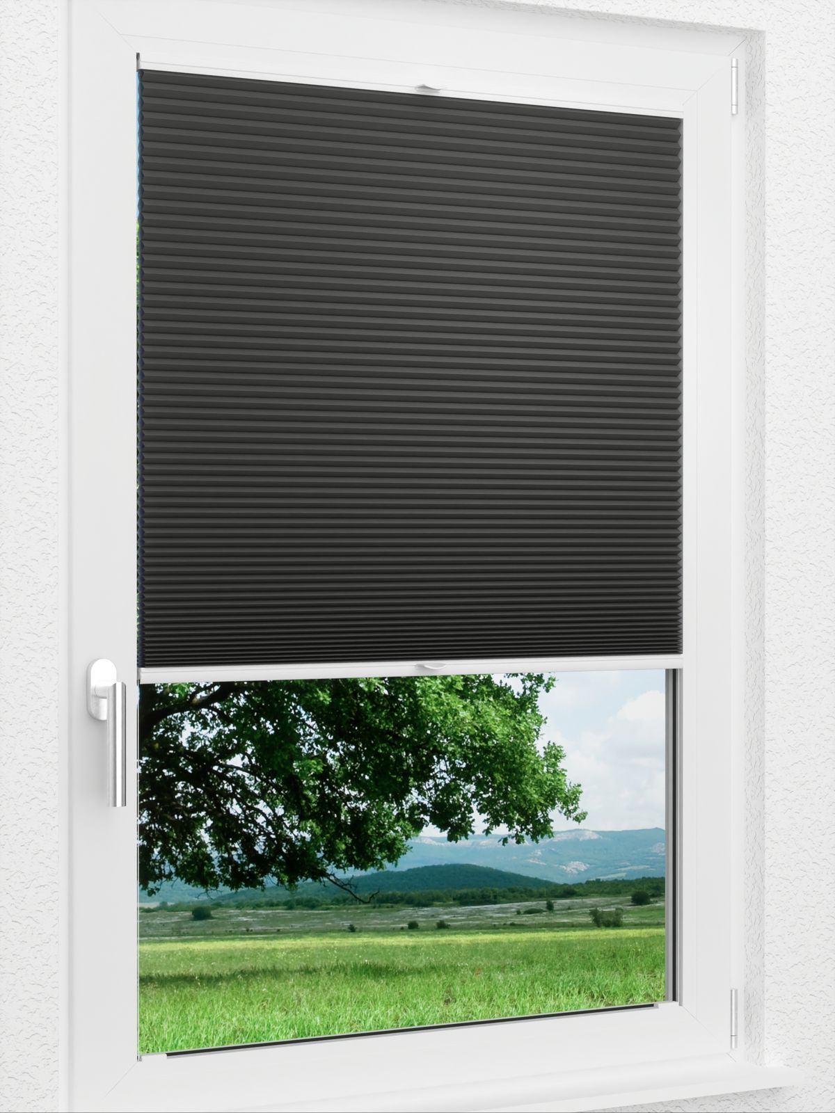 Detailansicht LYSEL HOME Plissee 034A Nana BO Wabe