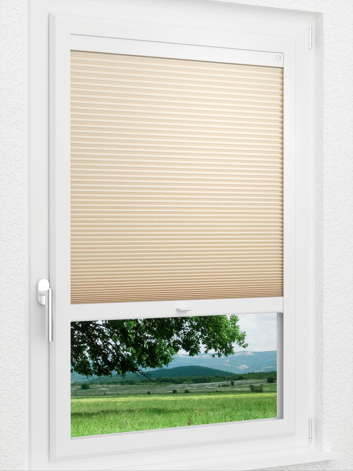 Detailansicht LYSEL HOME Plissee 035A Alba LI Wabe