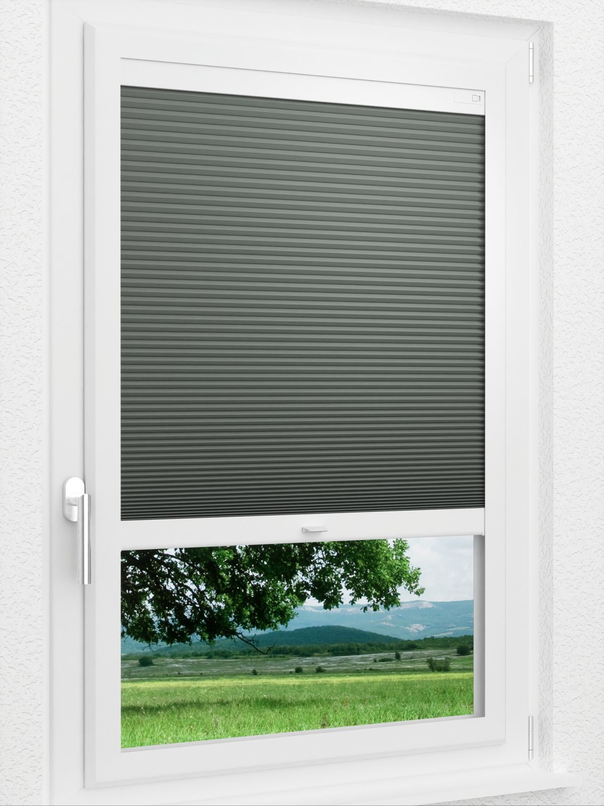 Detailansicht LYSEL HOME Plissee 039A Alba LI Wabe