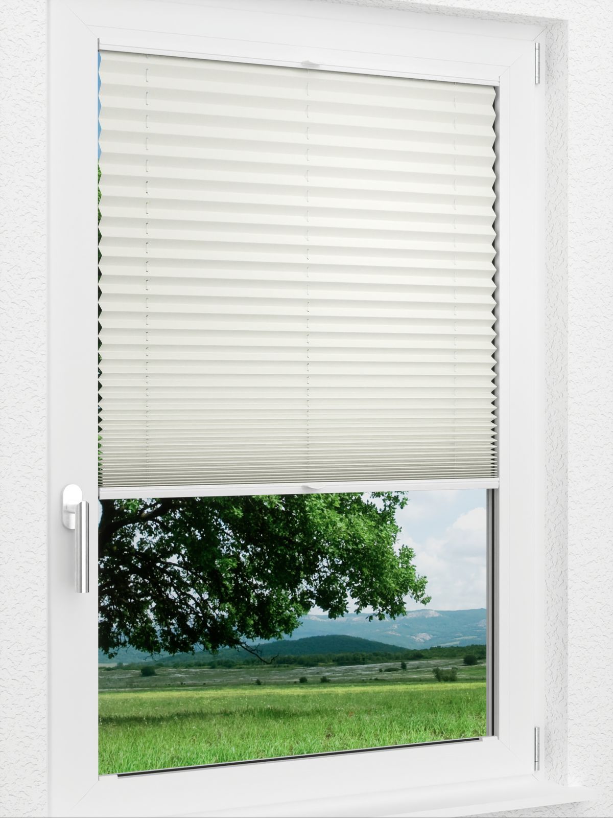 Detailansicht LYSEL HOME Plissee 219B Aralia BO
