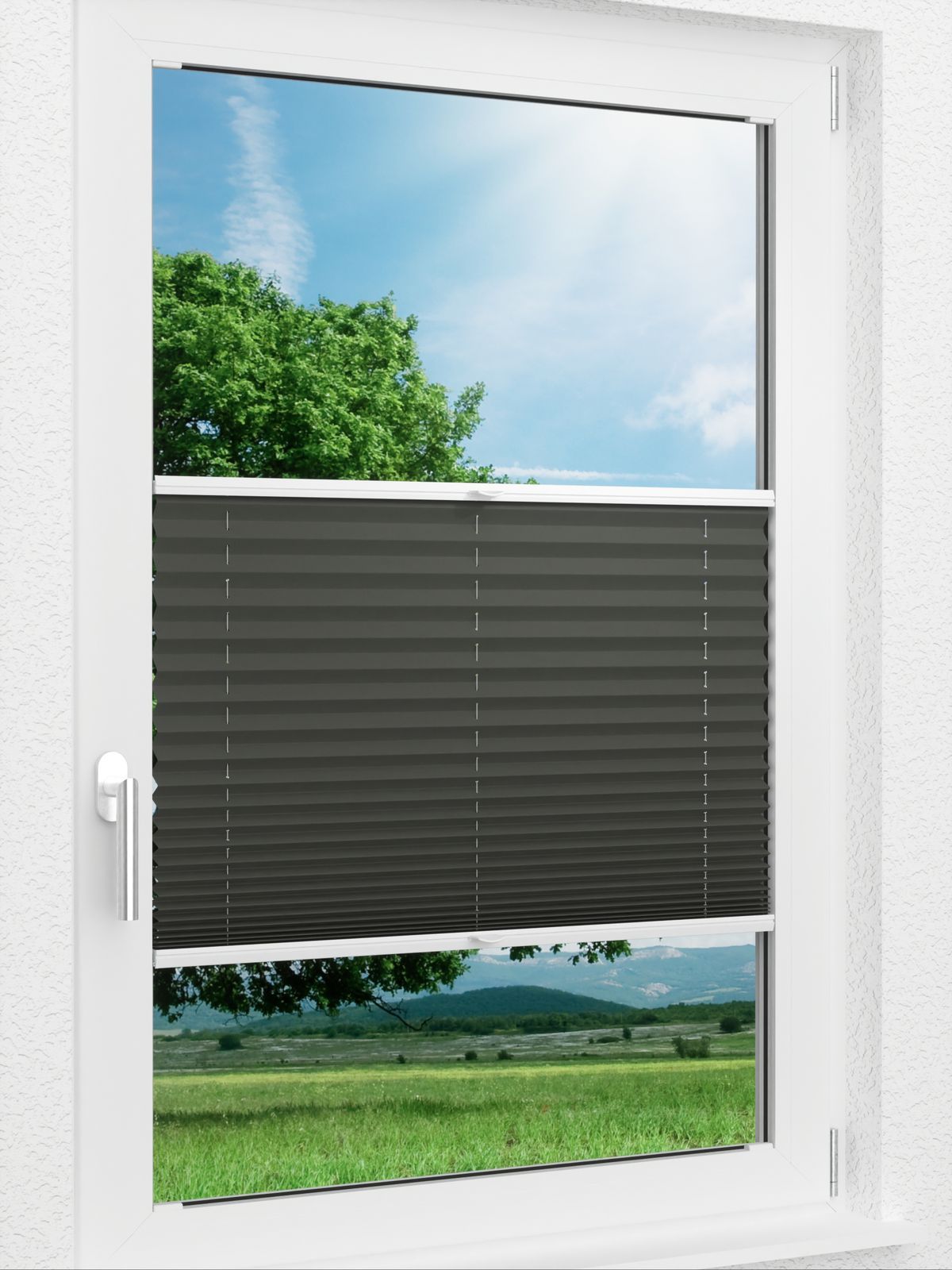 Detailansicht LYSEL HOME Plissee 202B Aralia BO
