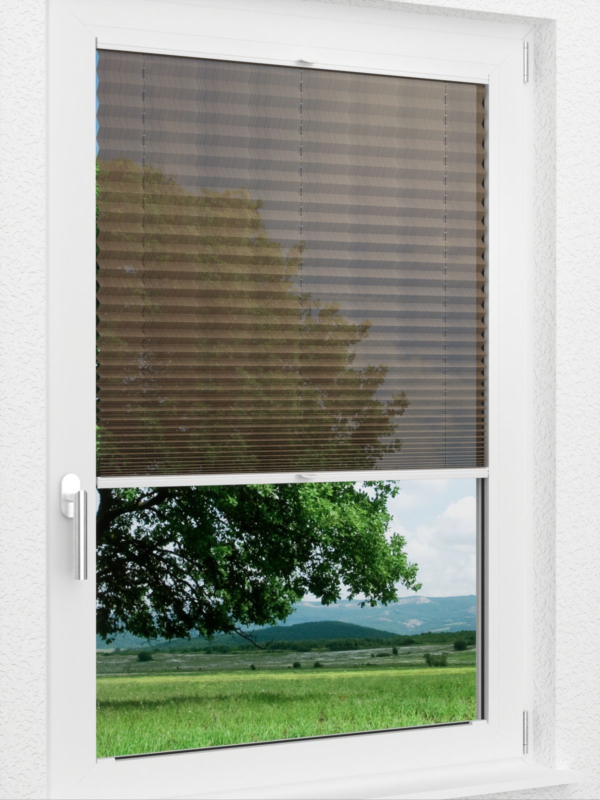 Detailansicht LYSEL HOME Plissee 433A Paso Dance