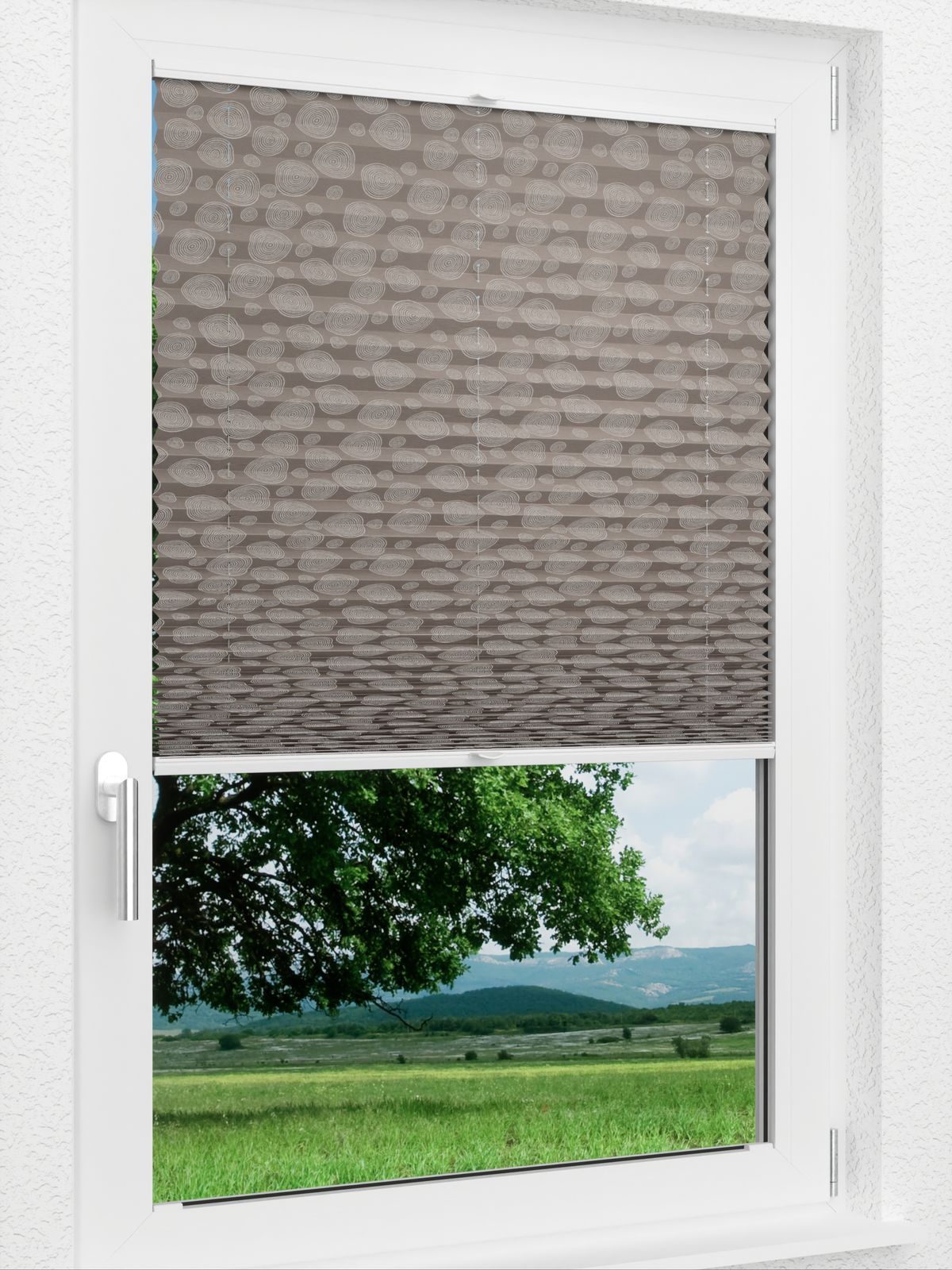 Detailansicht LYSEL HOME Plissee 411A Shiny Rings