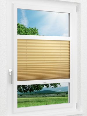 Preview LYSEL HOME Plissee 225A Aralia 1