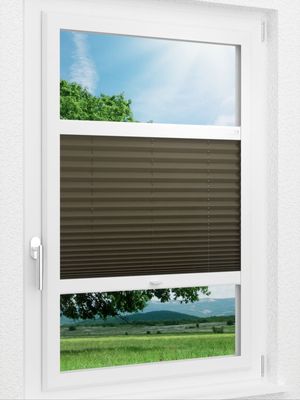 Preview LYSEL HOME Plissee 236A Aralia 1