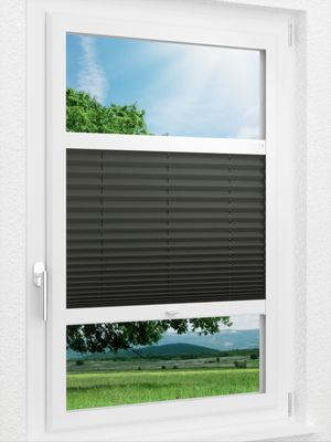 Preview LYSEL HOME Plissee 202A Aralia BO 1