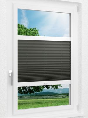 Preview LYSEL HOME Plissee 211A Aralia Pearl 1