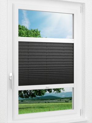 Preview LYSEL HOME Plissee 117A Betula BO 1