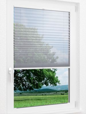 Preview LYSEL HOME Plissee 113A Calluna 1
