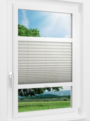 Preview LYSEL HOME Plissee 305A Arabis 1