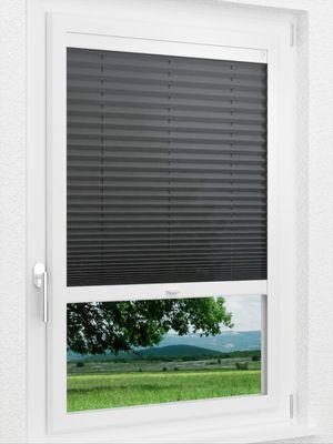 Preview LYSEL HOME Plissee 306A Arabis 0