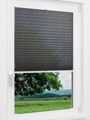 Preview LYSEL HOME Plissee 431A Farne 1