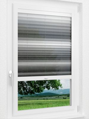 Preview LYSEL HOME Plissee 418A Light Wave 1