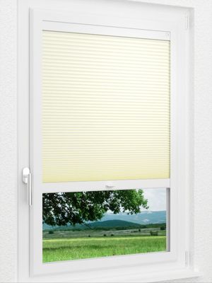 Preview LYSEL HOME Plissee 313A Evelyne Wabe 1