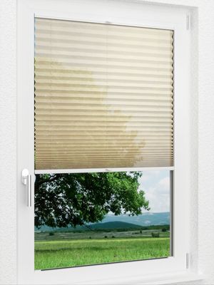 Preview LYSEL HOME Plissee 319A Sensitivo 1