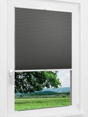 Preview LYSEL HOME Plissee 037A Alba LI Wabe 1