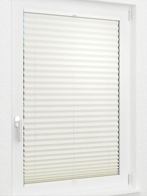 Preview LYSEL HOME Plissee 317A Naturalis 2