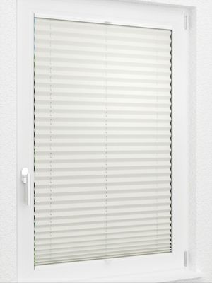 Preview LYSEL HOME Plissee 219B Aralia BO 2
