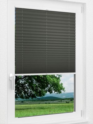 Preview LYSEL HOME Plissee 202B Aralia BO 1