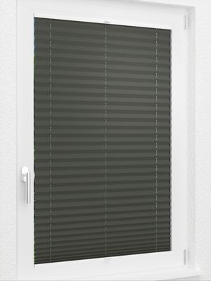 Preview LYSEL HOME Plissee 202B Aralia BO 2