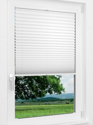 Preview LYSEL HOME Plissee 209B Aralia Pearl 1