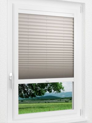 Preview LYSEL HOME Plissee 128B Aralia 1