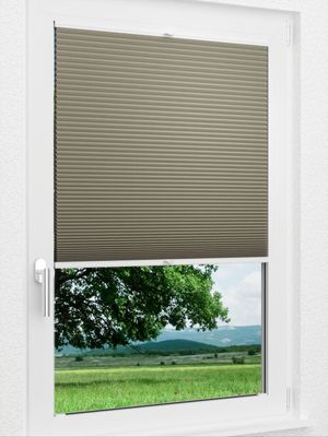 Preview LYSEL HOME Plissee 010A Calluna Wabe 1