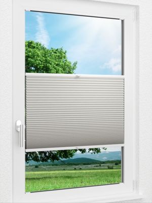 Preview LYSEL HOME Plissee 019A Calluna Wabe 0