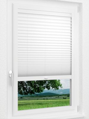 Preview LYSEL HOME Plissee 205B Aralia 1