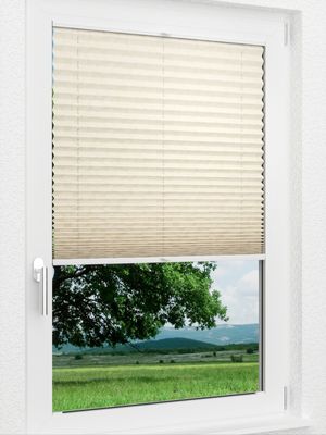 Preview LYSEL HOME Plissee 328A Shiny Rings 1
