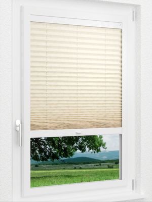 Preview LYSEL HOME Plissee 328A Shiny Rings 1