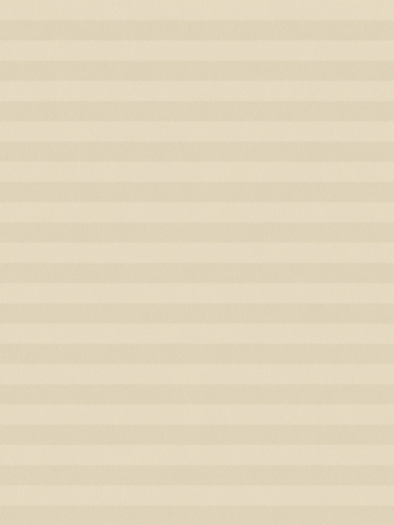 Preview LYSEL HOME Plissee 033A Nana BO Wabe 3