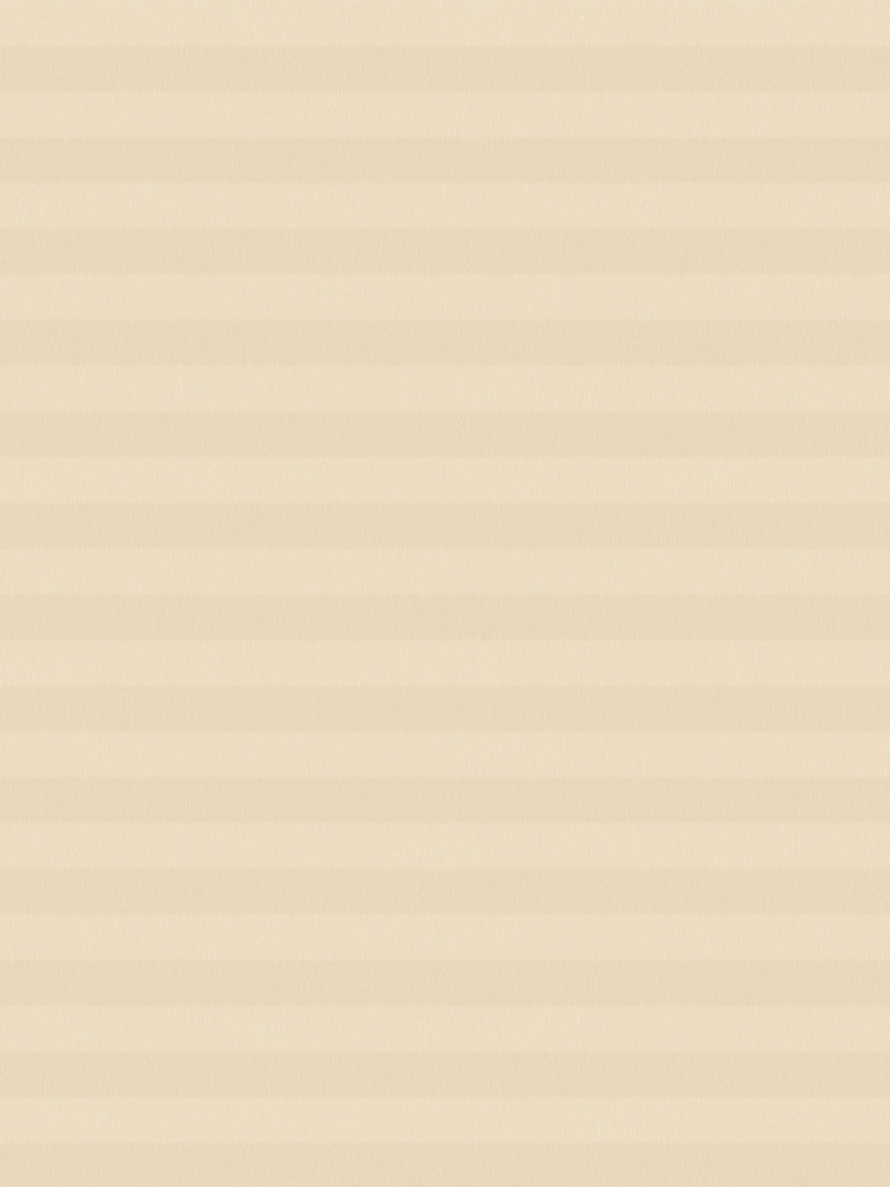 Preview LYSEL HOME Plissee 035A Alba LI Wabe 3