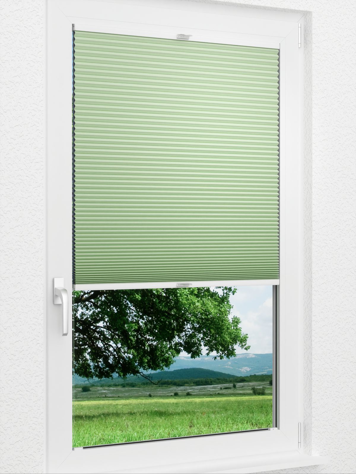 Detailansicht Straight Comb BO 9206.3598