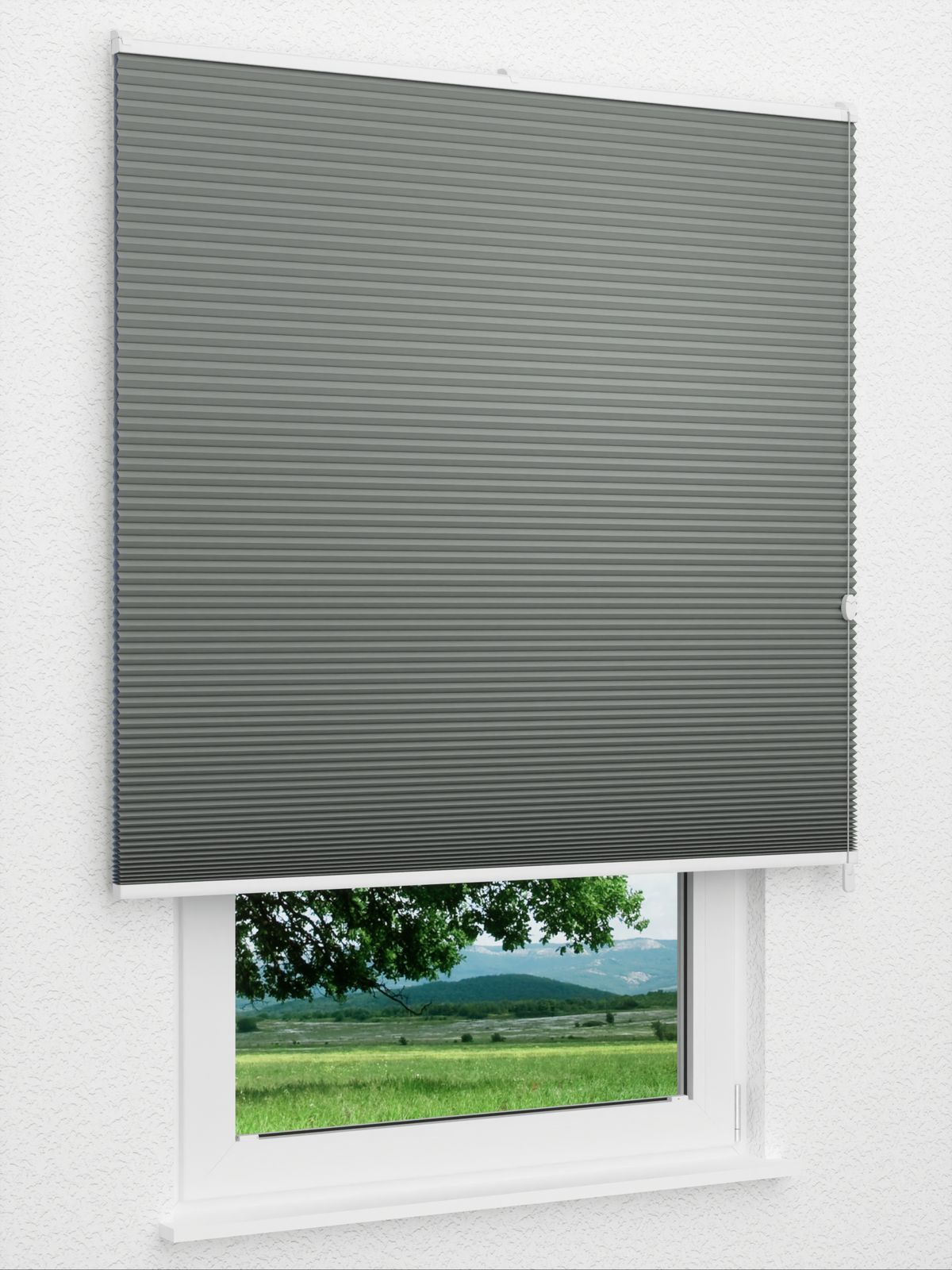 Detailansicht Straight Comb BO 9209.3617