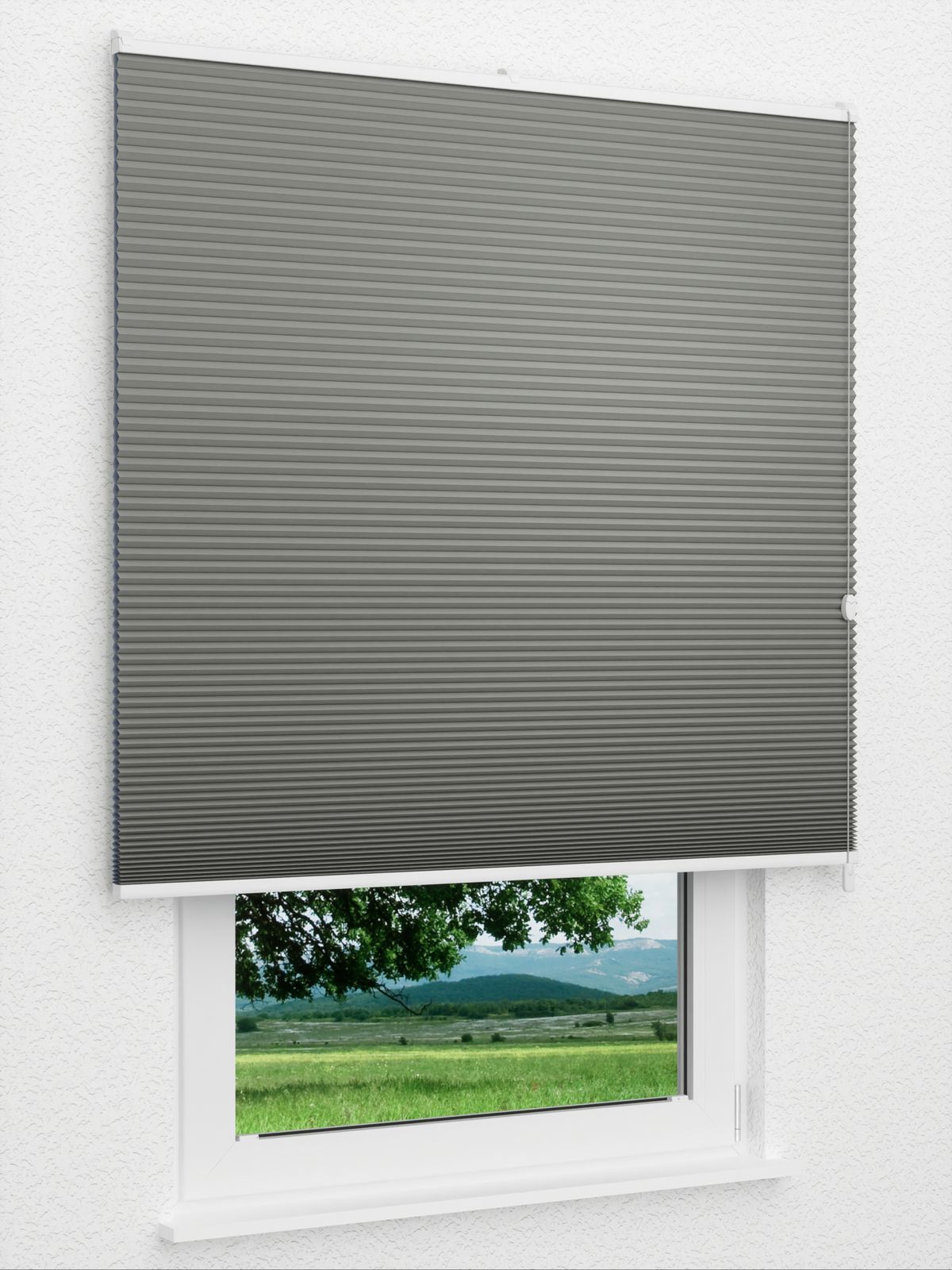 Detailansicht Straight Comb BO 9209.2621