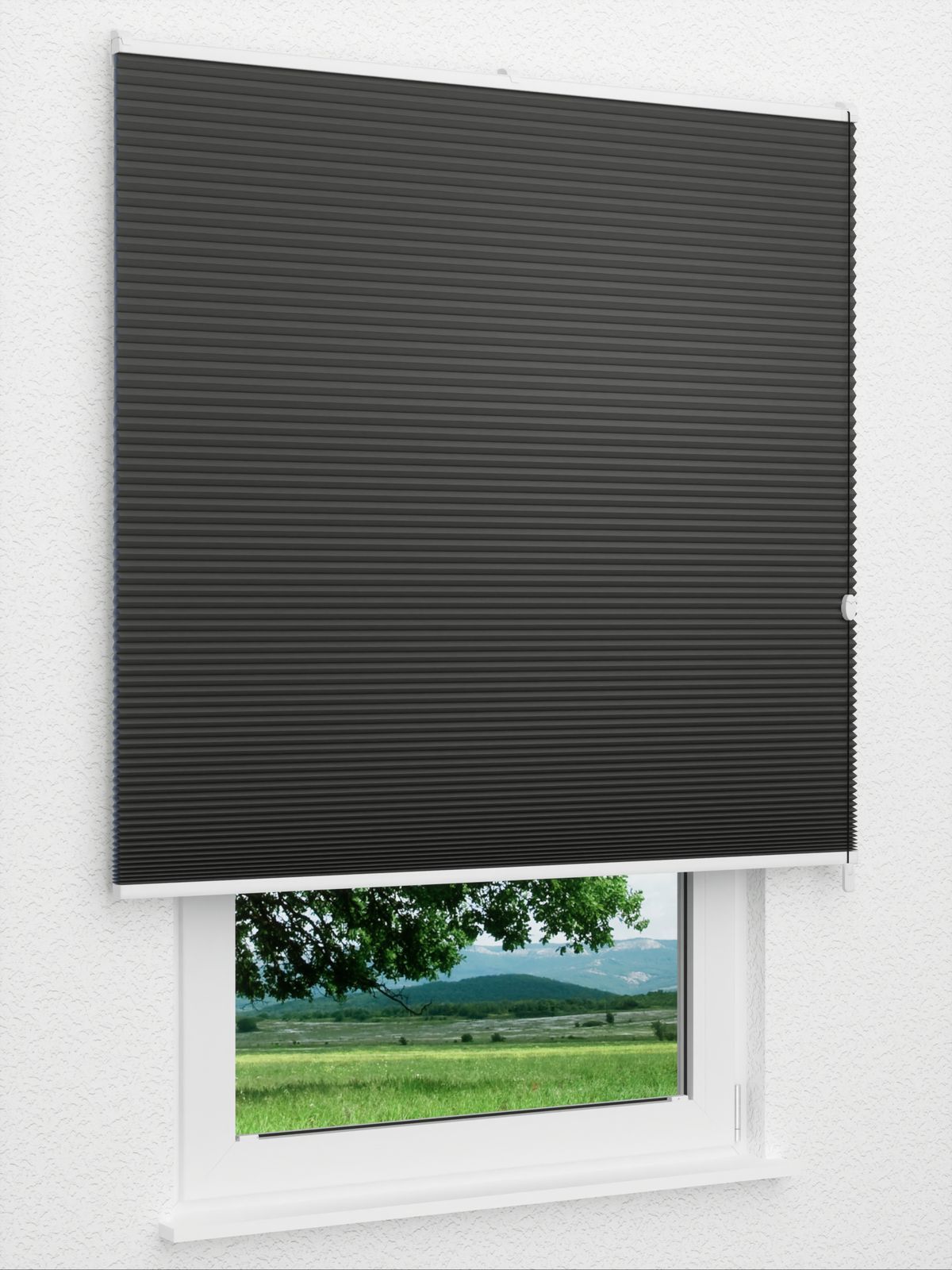 Detailansicht Straight Comb BO 9209.3623