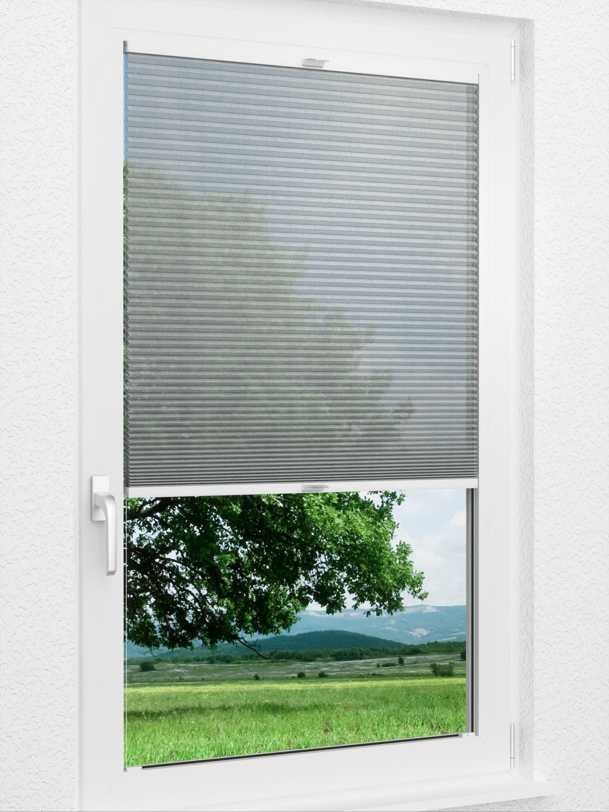 Detailansicht Jolty Comb SCL 6309.3640
