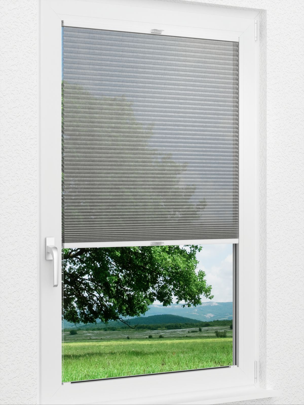 Detailansicht Jolty Comb SCL 6409.3641