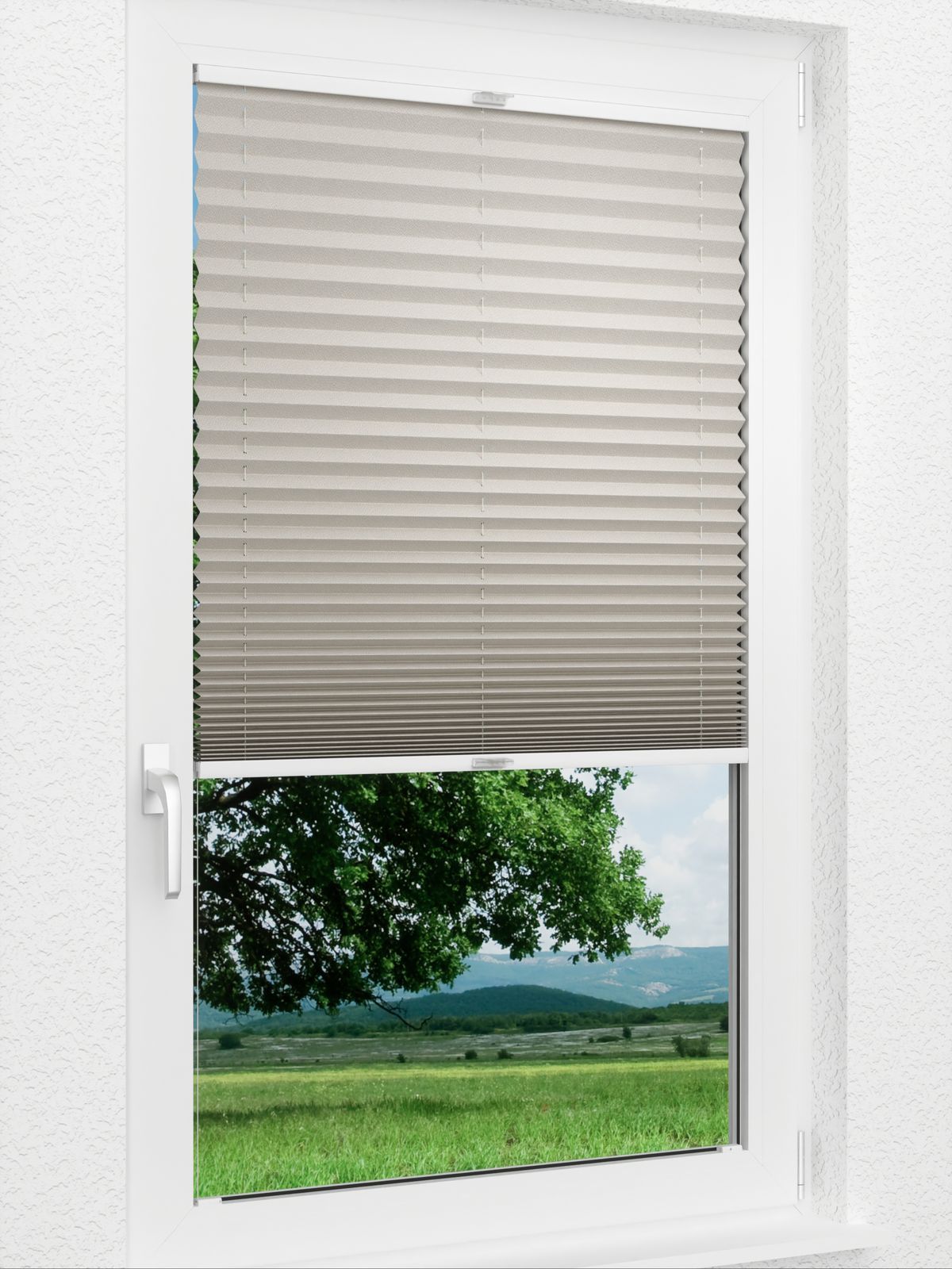 Detailansicht Plissee Kreppa Perlex 1609.1559