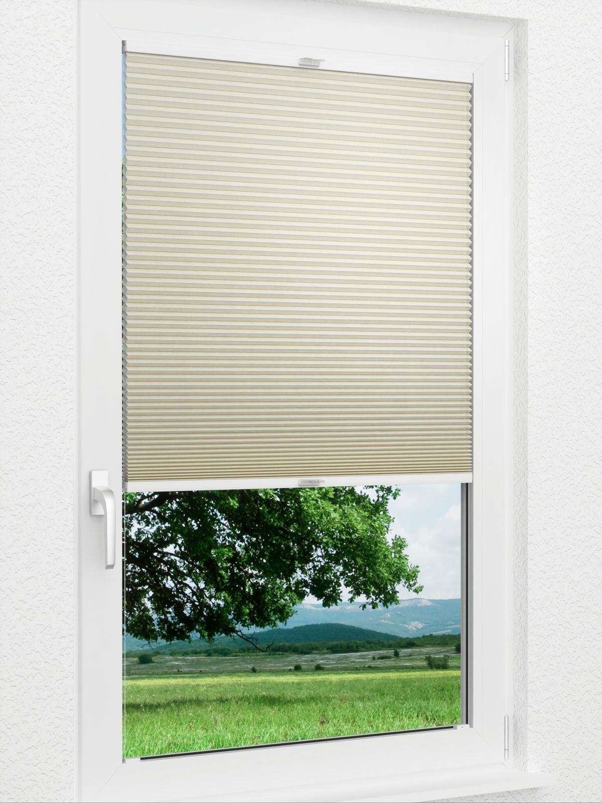 Detailansicht Bumby Comb LI 3201.3580