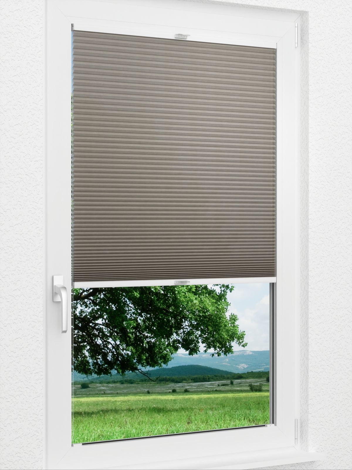 Detailansicht Bumby Comb LI 3402.3582