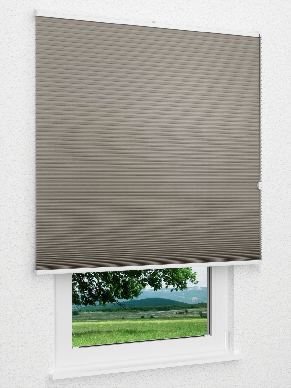 Detailansicht Bumby Comb LI 3402.3582