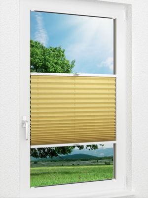 Preview Plissee Crush 2021.1905 0